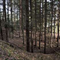 Nedokončené zemní těleso dálnice mezi mosty - dnes již zarostlé