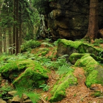 Žďárské vrchy - Rybenské Perníčky