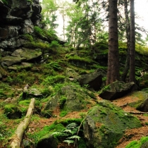 Žďárské vrchy - Rybenské Perníčky