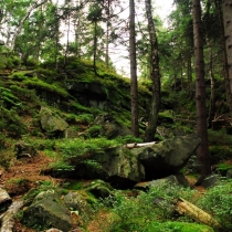 Žďárské vrchy - Rybenské Perníčky
