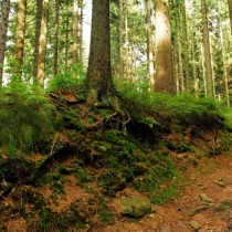 Žďárské vrchy
