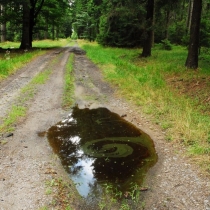 Žďárské vrchy