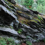Žďárské vrchy - Čtyří palice