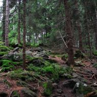 Žďárské vrchy - Z Devíti Skal na Čtyří palice