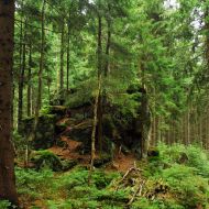 Žďárské vrchy - Z Devíti Skal na Čtyří palice