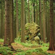 Žďárské vrchy - Z Devíti Skal na Čtyří palice
