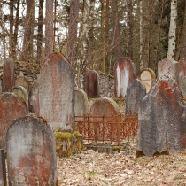 2010-04_drevikov_02
