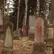 2010-04_drevikov_03
