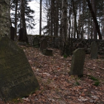 2010-04_drevikov_05