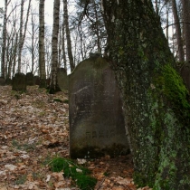2010-04_drevikov_08