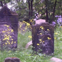židovský hřbitov Praha