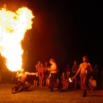 Živoucí historie 2015