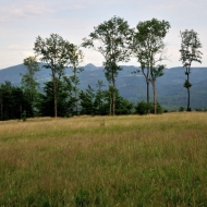npp-zlaty-vrch_01