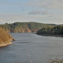 Vltava u Zvíkova