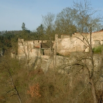 Zvíkov