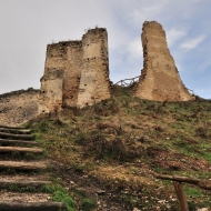 zviretice-zricenina-hradu_01