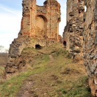 zviretice-zricenina-hradu_19