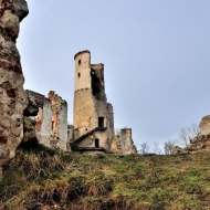 zviretice-zricenina-hradu_31