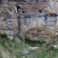 zviretice-zricenina-hradu_34