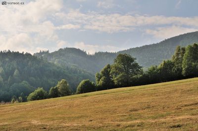 Morávka - Údolí Velkého Lipového potoka