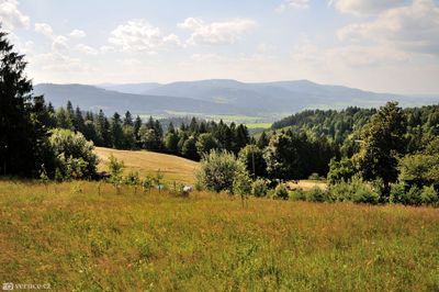 Gírová
